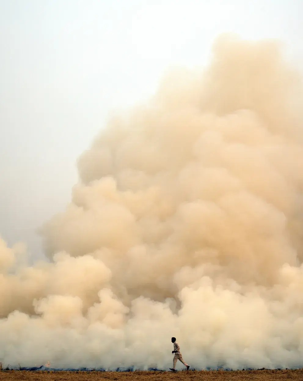 AQMx Webinar Series | Agriculture
Promoting Alternatives to Crop Residue Burning
